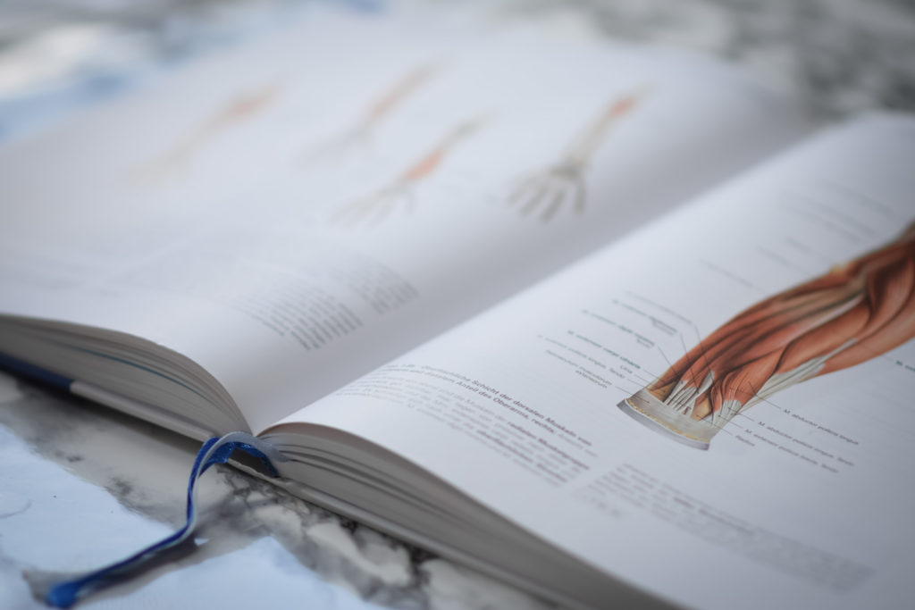 Physiotherapie Ausbildung Österreich